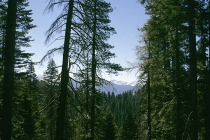 Herrliche Landschaft