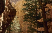 Auf dem Navajo Trail