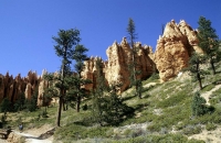 Hier zeigte sich die Vielfalt des Bryce Canyon