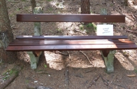 Das Schild hat wohl auch jemand vergessen, die Bank war nämlich trocken :-)