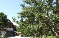 Zurück beim Ausgangspunkt, dem Landgasthaus Jirouc