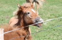 Etwas Zahnseide gefällig? :-)