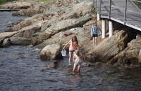 Schwedinnen beim Sammeln von ???