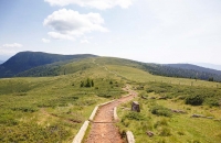 Der Weg führte am Kamm entlang