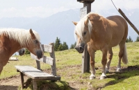 Bitte nicht stören!