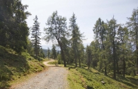 Abstieg zur Maiseralm