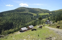 Blick Richtung Pritzhütte
