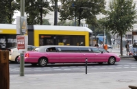 Rosa Stretchlimo