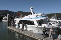 Nach 7 1/2 Stunden Fahrt zurück in Havelock