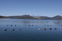 Eine von unzähligen Muschelfarmen