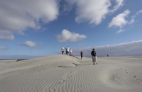 Coole Dünenlandschaft