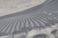 Coole Dünenlandschaft