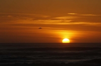 Sonnenuntergang in Punukaiki