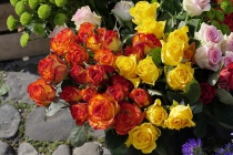 Blumen am Markt in Lindau