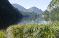 Landschaft am Toplitzsee