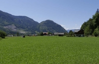 In dieses satte Grün könnte man reinbeißen