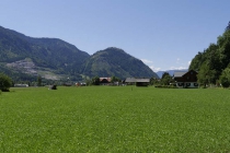 In dieses satte Grün könnte man reinbeißen