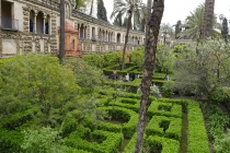 Schön geschnittene Büsche