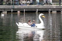 Schwan-Tretboot am Hallstättersee